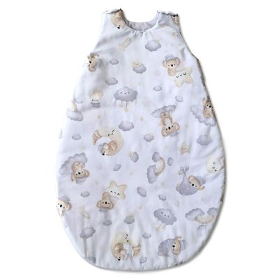 Sac de dormit copii 0-6 luni Kidizi Koala Dreams, 1 tog