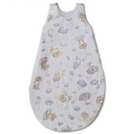 Sac de dormit copii 3-18 luni Kidizi Koala Dreams, 1 tog